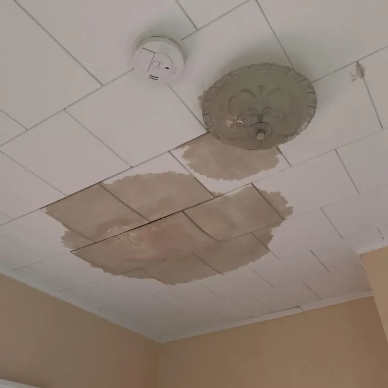 Ceiling Water Damage Repair in Livingston, CA